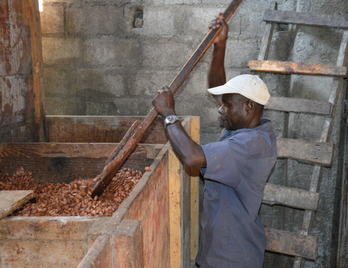 Producteur cacao haÃ¯tien coopÃ©rative FECCANO muesli chocolat